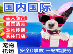 遵义新舟航空货运国际宠物托运 【国